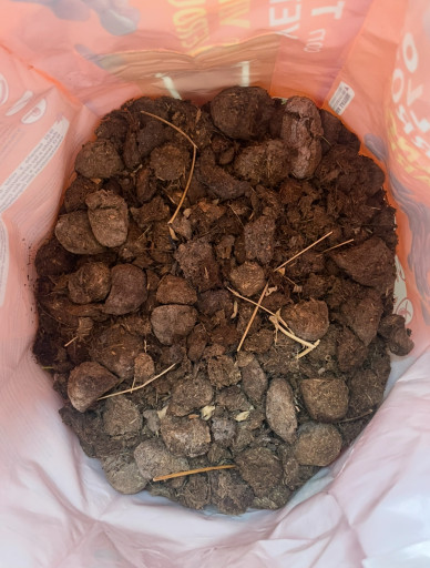 {stallatico substrato per Panaeolus cyanescens}